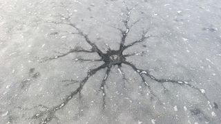 Ledové hvězdice. Vyfotili jsme nevšední úkaz na zamrzlém Máchově jezeře